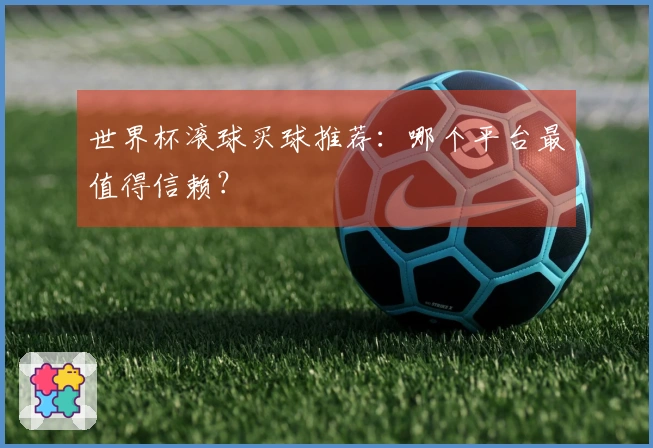 世界杯滚球买球推荐：哪个平台最值得信赖？