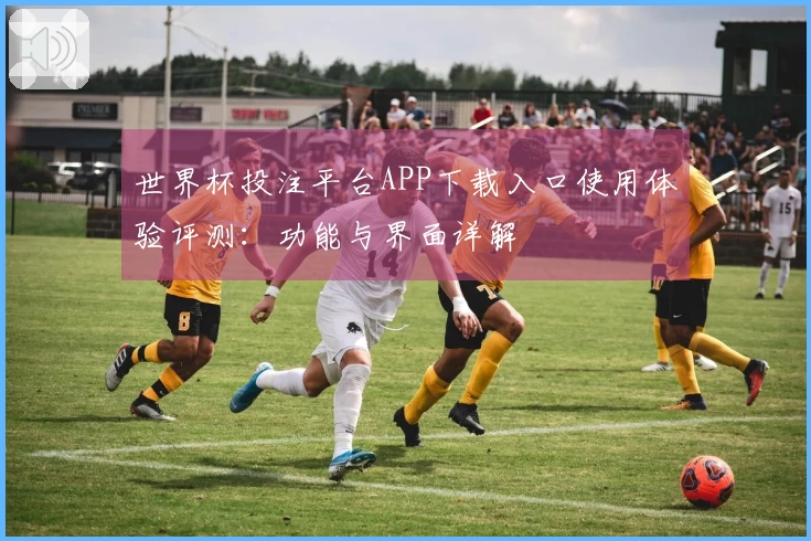 世界杯投注平台APP下载入口使用体验评测：功能与界面详解