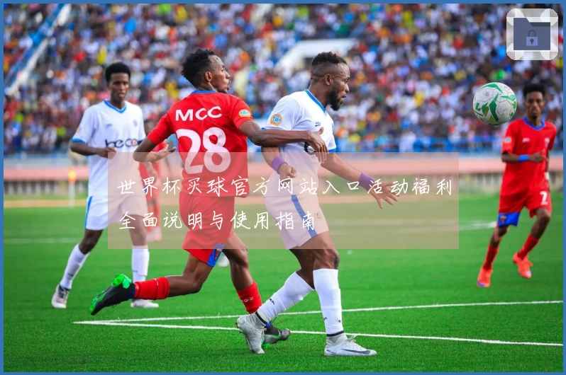 世界杯买球官方网站入口活动福利全面说明与使用指南