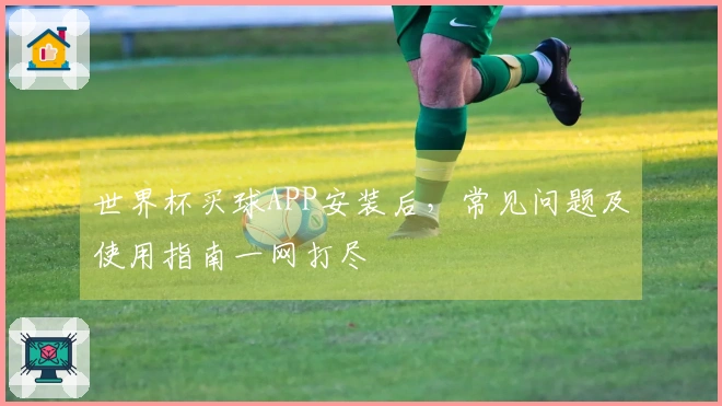 世界杯买球APP安装后，常见问题及使用指南一网打尽