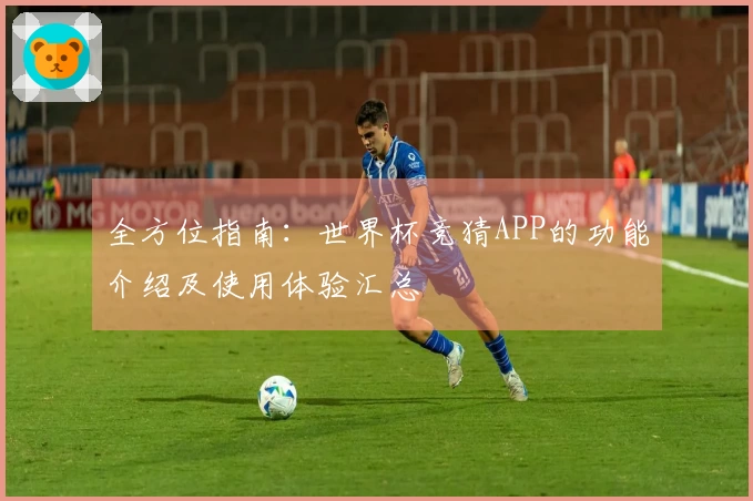 全方位指南：世界杯竞猜APP的功能介绍及使用体验汇总