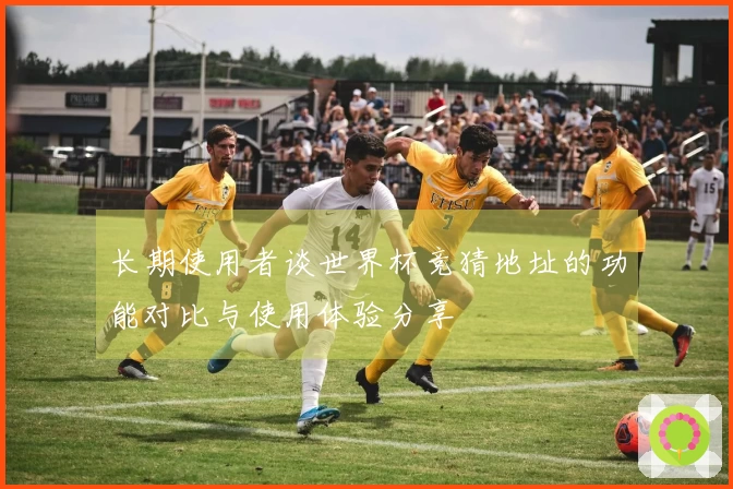 长期使用者谈世界杯竞猜地址的功能对比与使用体验分享