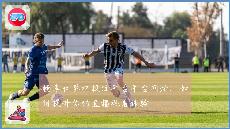 畅享世界杯投注平台平台网址:如何提升你的直播观看体验