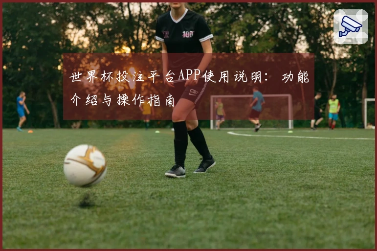 世界杯投注平台APP使用说明：功能介绍与操作指南