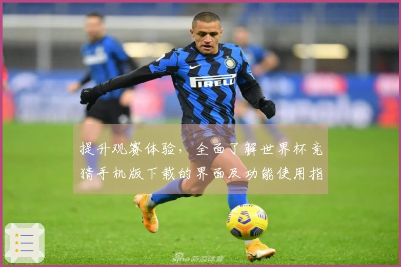 提升观赛体验，全面了解世界杯竞猜手机版下载的界面及功能使用指南