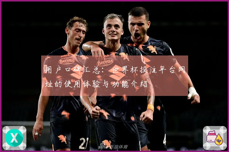 用户口碑汇总：世界杯投注平台网址的使用体验与功能介绍