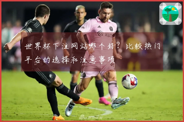 世界杯下注网站哪个好？比较热门平台的选择和注意事项