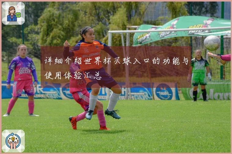 详细介绍世界杯买球入口的功能与使用体验汇总