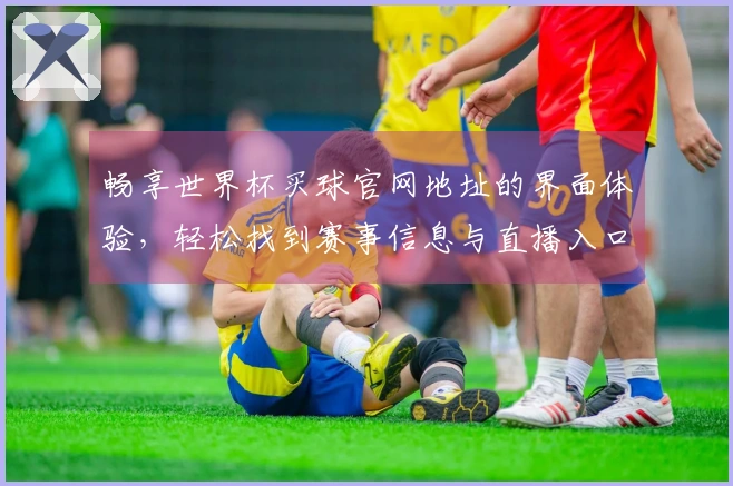 畅享世界杯买球官网地址的界面体验，轻松找到赛事信息与直播入口
