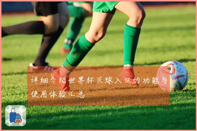 详细介绍世界杯买球入口的功能与使用体验汇总